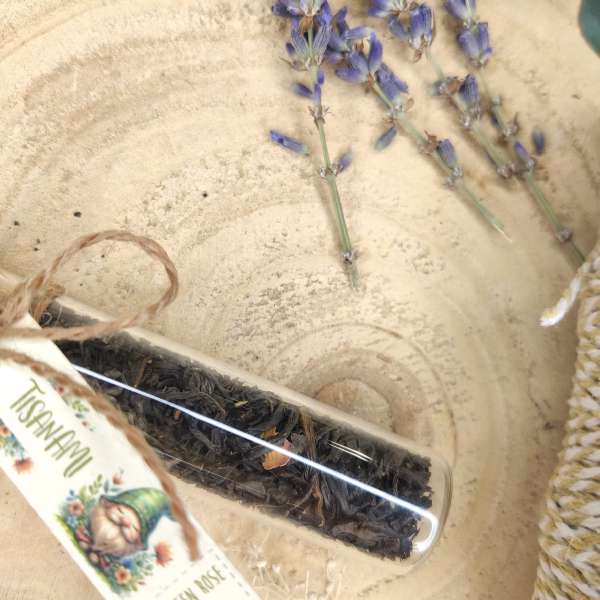 TisanAMI – Gigetto Gnometto